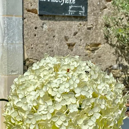 La Grange Du Presbytere