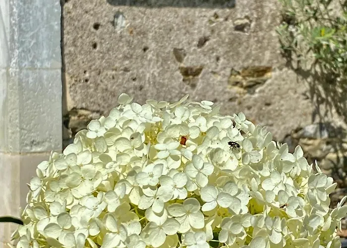 La Grange Du Presbytere